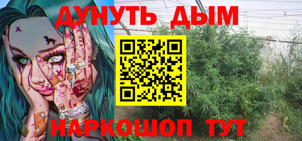 Шишки марихуана сатива  МАРИХУАНА SATIVA & INDICA  Лобня  Вход с VPN  Каннабис тримм 